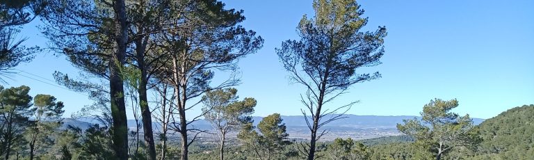 Le Luberon depuis la forêt de Venelles