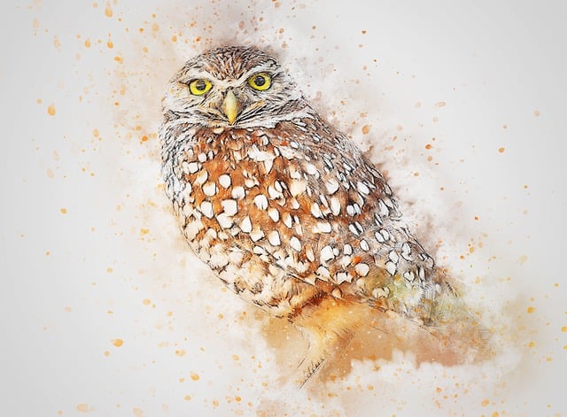 Chouette peinte à l'aquarelle