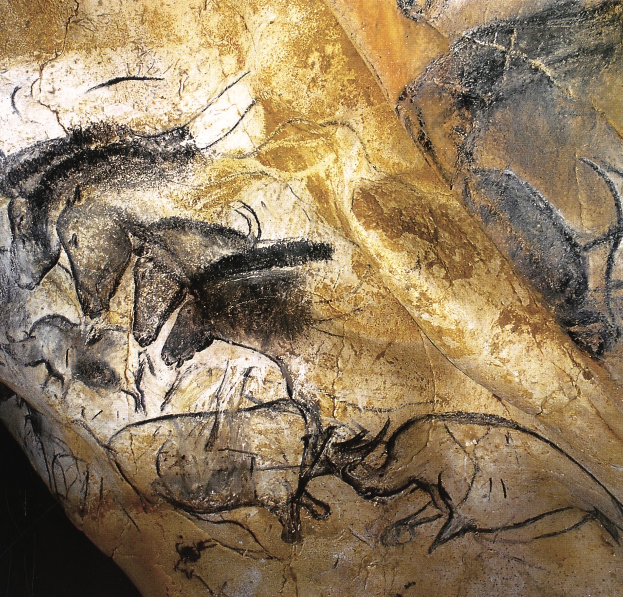 Photo représentant des peintures rupestres de chevaux réalisées dans la Grotte Chauvet.