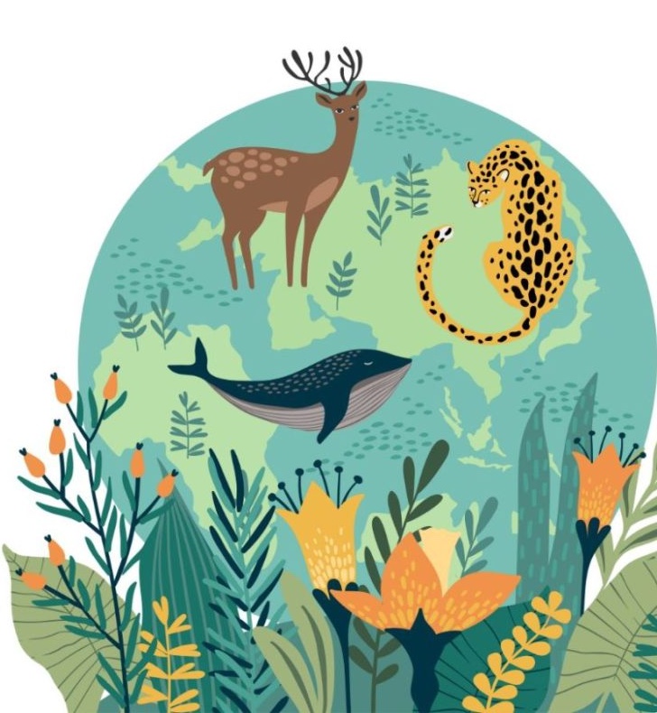 Illustration de la Fresque de la biodiversité