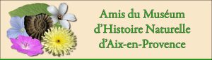 Logo des Amis du museum d'histoire naturel d''Aix