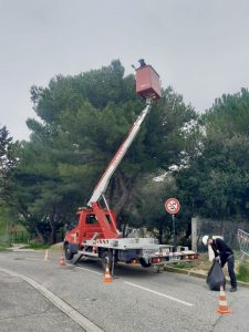 opération d'échenillage à Venelles