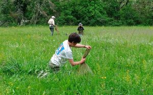 photo d'inventaire LPO dans la nature