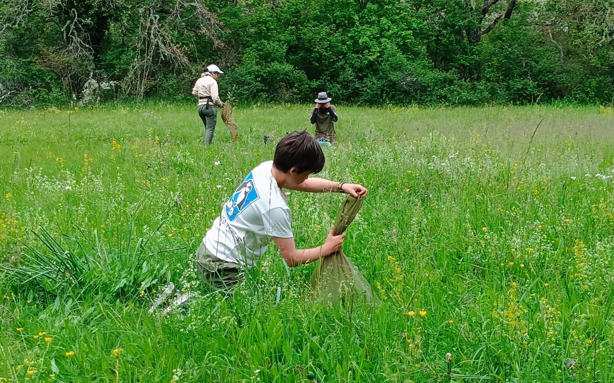 photo d'inventaire LPO dans la nature