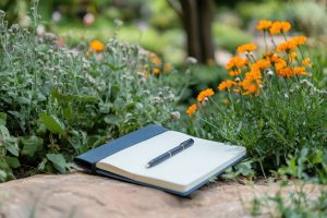 Livre ouvert dans un jardin