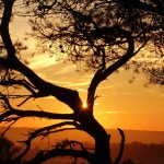 concours photo 1