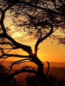 concours photo 1