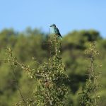concours photo 3