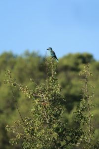 concours photo 3