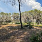 concours photo 7