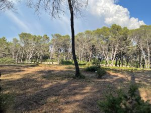 concours photo 7