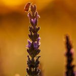 concours photo 2