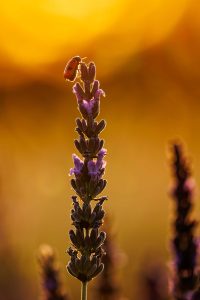 concours photo 2