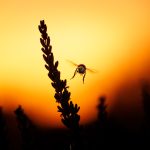 concours photo 5