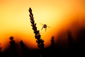 concours photo 5